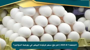 الجمعة 1-8-2025 | كم بلغ سعر كرتونة البيض في بورصة الدواجن؟